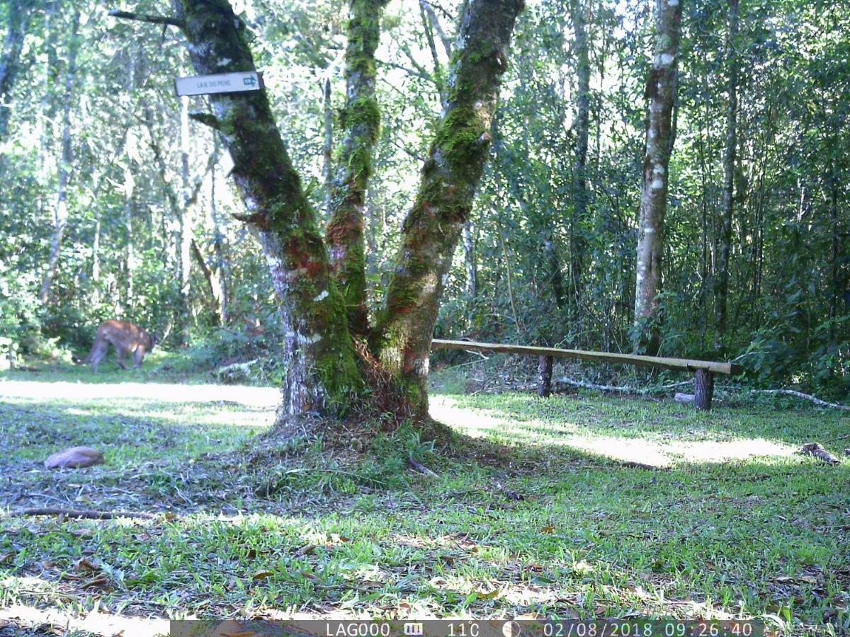Pousada Do Morro Verde Carvalhos Kültér fotó